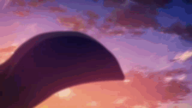 a close up of a person 's shadow against a cloudy sky