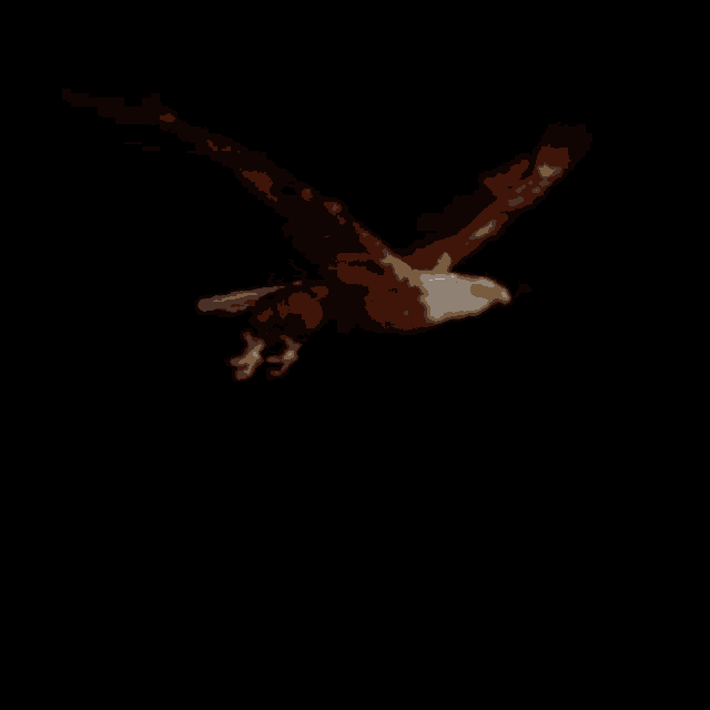 an eagle is flying in the dark with its wings spread .