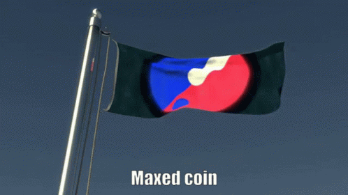 Maxed Coin GIF - Maxed Coin Maxed Coin GIFs