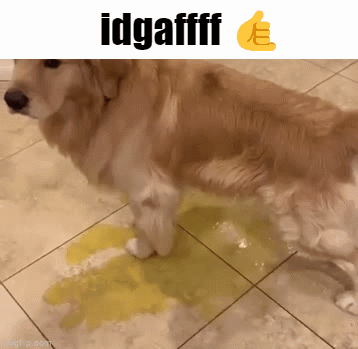 Idgaf GIF - Idgaf GIFs