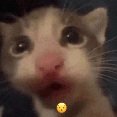 a close up of a cat 's face with a yellow smiley face hanging from its neck .