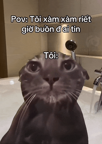 a picture of a cat in a bathtub with a caption that says pov