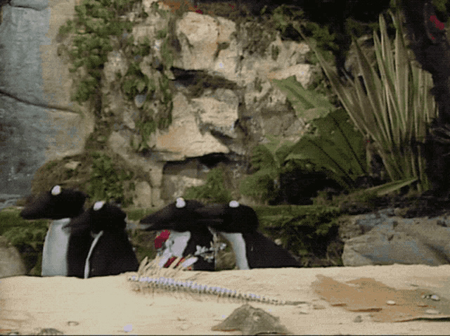a couple of stuffed animals sitting in front of a rock formation
