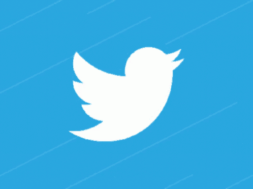 a white twitter bird is against a blue background