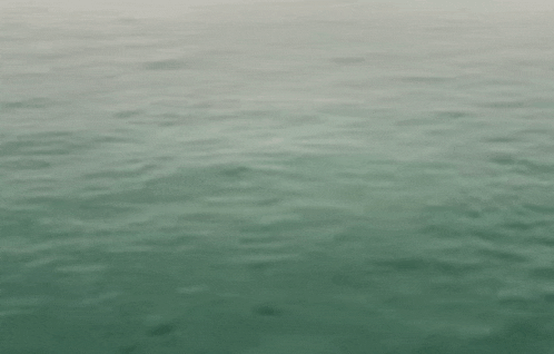 a close up of the surface of a large body of water .