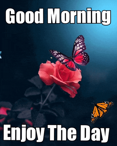 a butterfly is flying over a red rose with the words " good morning enjoy the day " below it