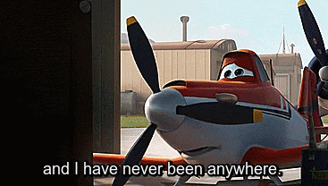 a cartoon plane says " and i have never been anywhere " in front of it