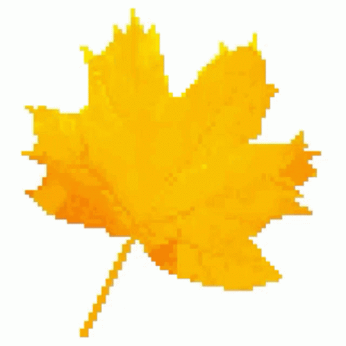 Canada Leaf Leaves GIF - Canada Leaf Leaves Maple Leaf GIFs