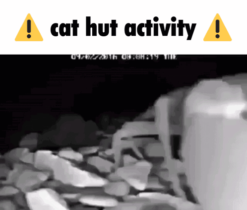 Cat Hut Cat Hut Activity GIF - Cat Hut Cat Hut Activity GIFs
