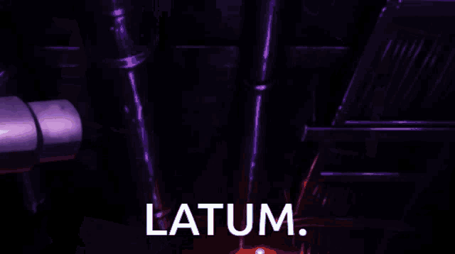 a man with a piercing in his ear and the word latum on his face