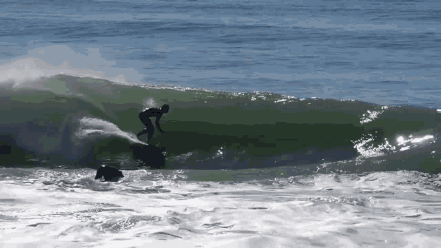Skim Surf GIF - Skim Surf Wave GIFs
