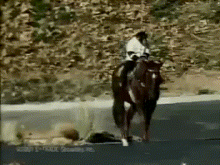 a person is riding a horse on a road