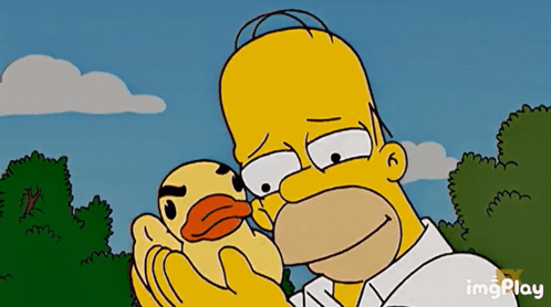 Homer Simpson Rubber Ducky GIF - Homer Simpson Rubber Ducky Rubber Duck GIFs