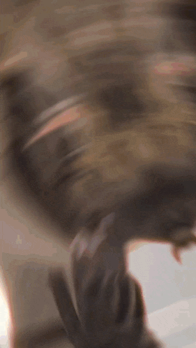 a blurry picture of a person 's hand reaching out towards a cat