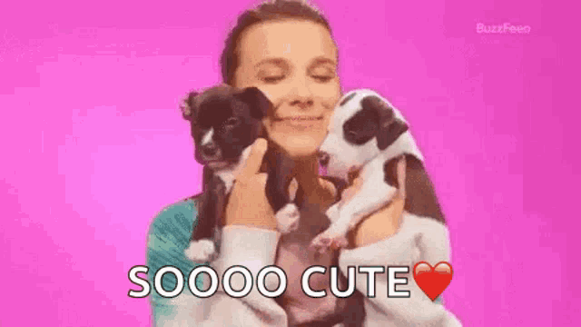 a woman is holding two puppies in her arms and says soooo cute .
