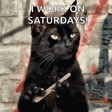 a black cat is holding a nail file in its paws and says `` i work on saturdays '' .