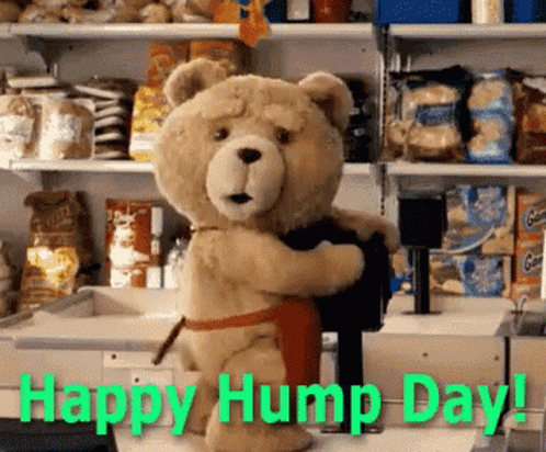 Happy Hump Day Bear GIF - Happy Hump Day Bear Humping GIFs