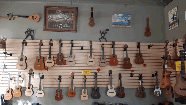 a display of guitars with a sign that says hawaii on it