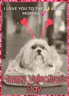 a shih tzu dog wearing a valentine 's day costume is laying on a pillow .