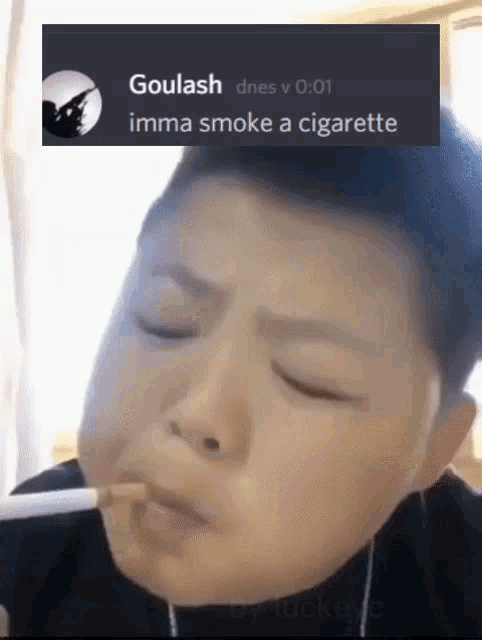 Goulash Cigarette GIF - Goulash Cigarette Cig GIFs