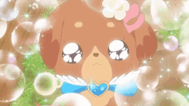 a brown dog with a blue heart around its neck and a flower on its head