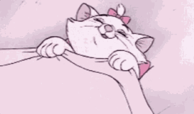 a cartoon cat with a pink bow and the words nossa que soninho below it