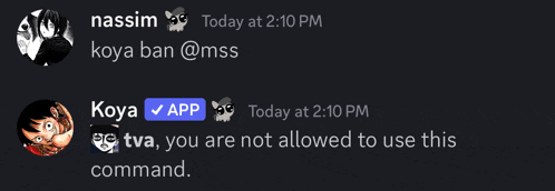 a screenshot of a discord chat between nassim and koya