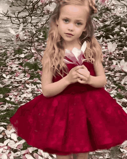 a little girl in a red dress holds a flower