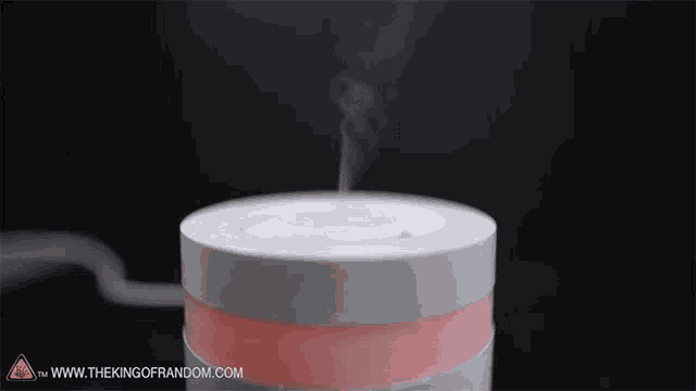 a picture of a humidifier with the website www.thekingofrandom.com in the bottom right corner