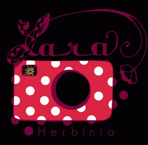 Laraherbinia Camera GIF - Laraherbinia Camera GIFs