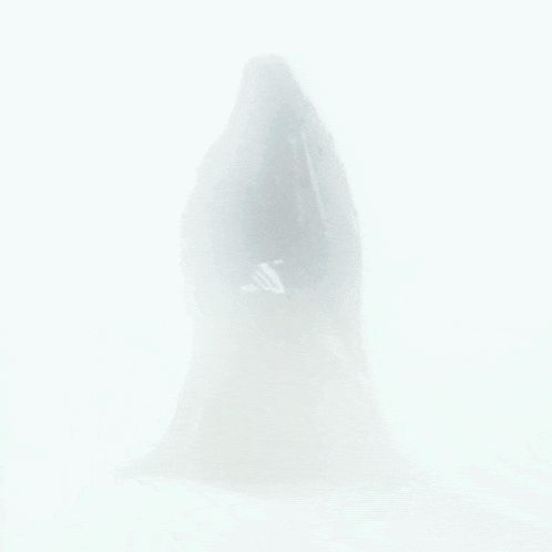 a black and white photo of a person in a long black robe