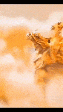 a close up of a bird 's head with a blurred background