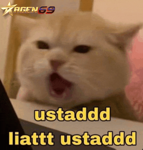 a cat with its mouth open and the words ustadd liatt ustadd on the bottom