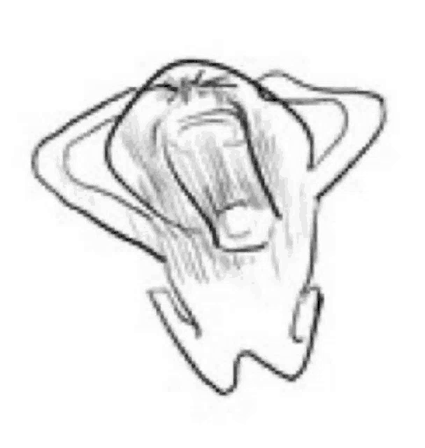 a black and white drawing of a man screaming with his hands behind his head .