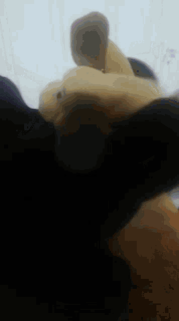 a close up of a person holding a stuffed animal in their hand