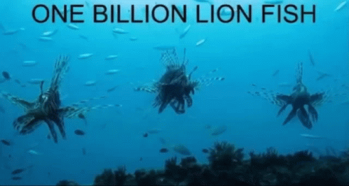 One Billion Lion Fish GIF - One Billion Lion Fish GIFs