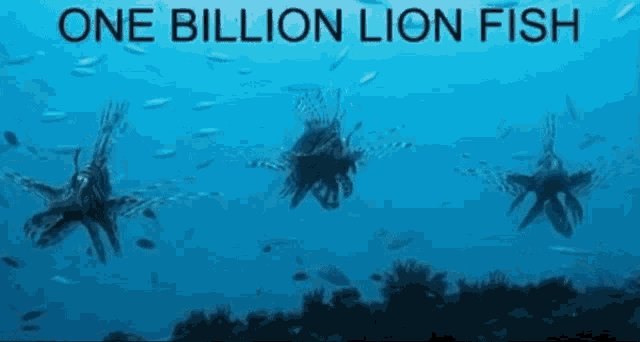 a group of lion fish are swimming in the ocean with the words one billion lion fish above them