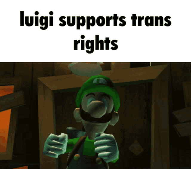a cartoon of luigi with the words luigi supports trans rights above him