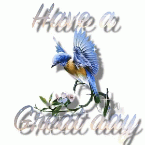 Have A Nice Day Have A Great Day GIF - Have A Nice Day Have A Great Day Bird GIFs