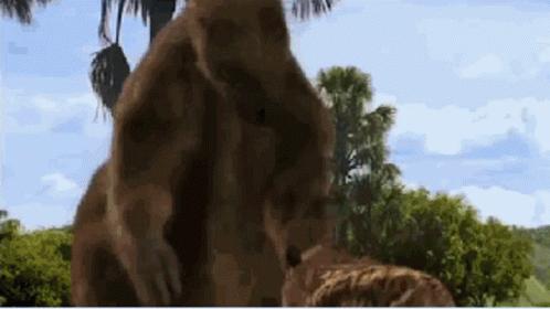 Giant Ground Sloth Sabertooth GIF