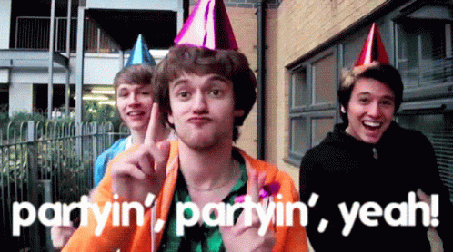 Partyin Lets Party GIF