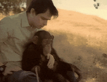 a man is holding a baby chimpanzee in his lap