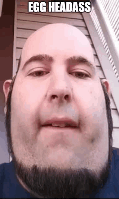 a bald man with a beard is looking at the camera with a caption that says egg headass .