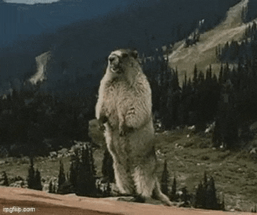 a groundhog is standing on its hind legs in front of a mountain with the words `` mooncake '' written on it .
