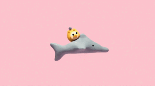 Ouioui Dolphin GIF - Ouioui Dolphin Riding GIFs