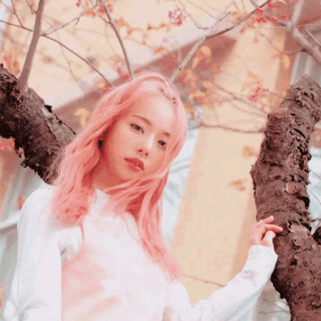 a girl with pink hair stands next to a tree