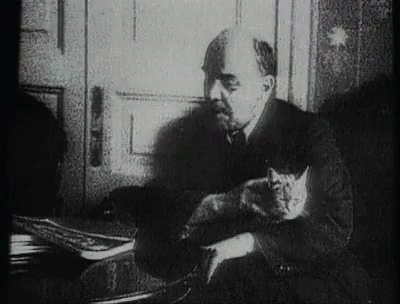 Vladimir Lenin Cat GIF