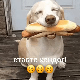 a dog is holding a hot dog in its mouth with smiley faces on the bottom