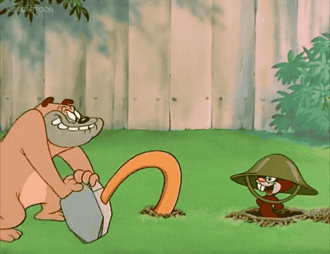 a cartoon squirrel is being hit by a hammer