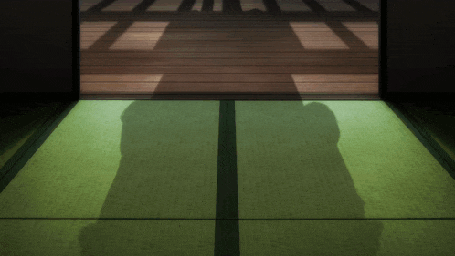 a shadow of a person standing on a green mat
